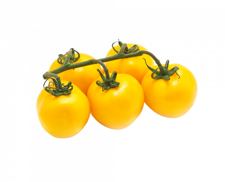 Yellow Tomatoes onthevine Pure Harvest